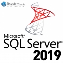 엔*결제용 SQL Svr Std 2019 SNGL OLP NL + 50 CAL 일반, 기업, 상업용 2Copy