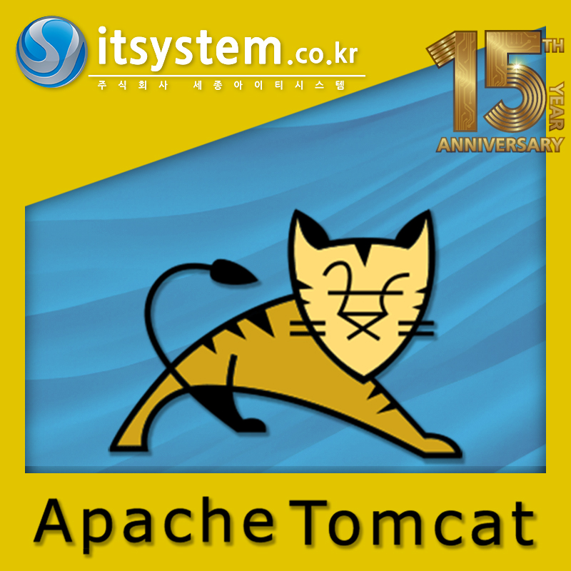 Tomcat WAS 구성+설치+9개월 유지보수