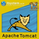 Tomcat WAS 구성+설치+12개월 유지보수