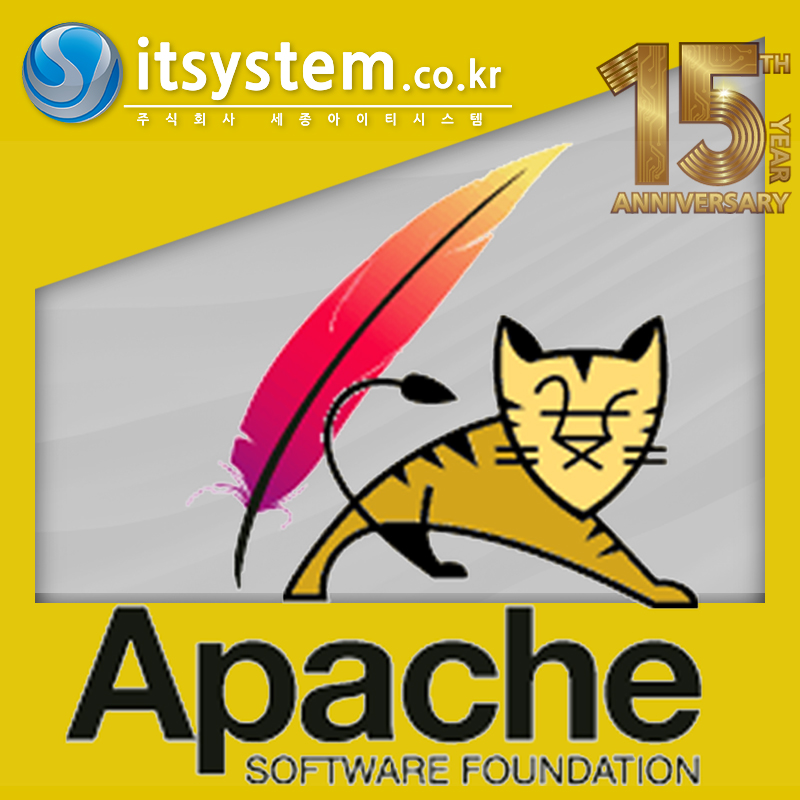 Apache/Tomcat WEB/WAS 구성+설치+12개월 유지보수